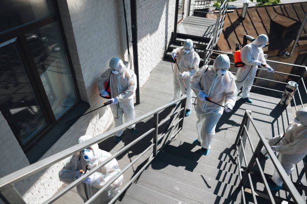 Reliable Parkesburg, PA Mold Removal Solutions