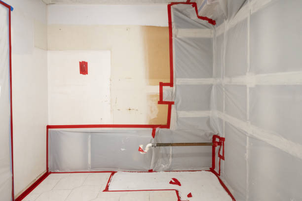 Best Forensic Mold Investigation  in Rkesburg, PA