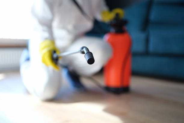 Best Post-Remediation Verification Testing  in Rkesburg, PA